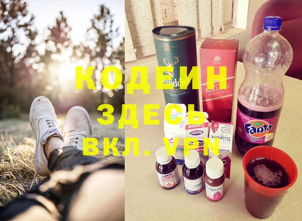 ECSTASY Богданович