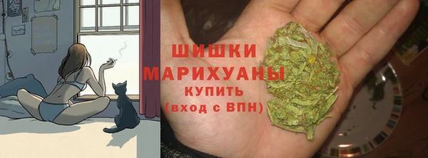 ECSTASY Богданович