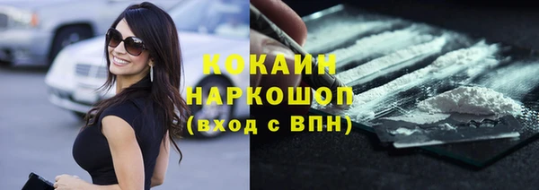 ECSTASY Богданович