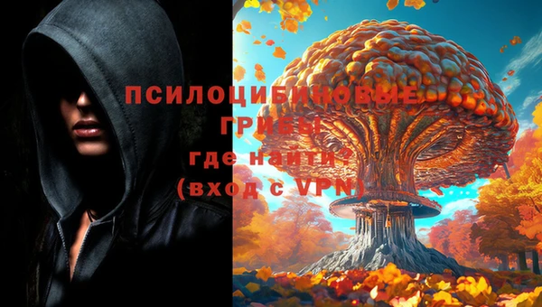 альфа пвп Богородицк