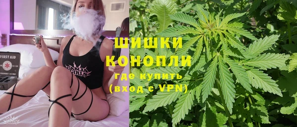ECSTASY Богданович