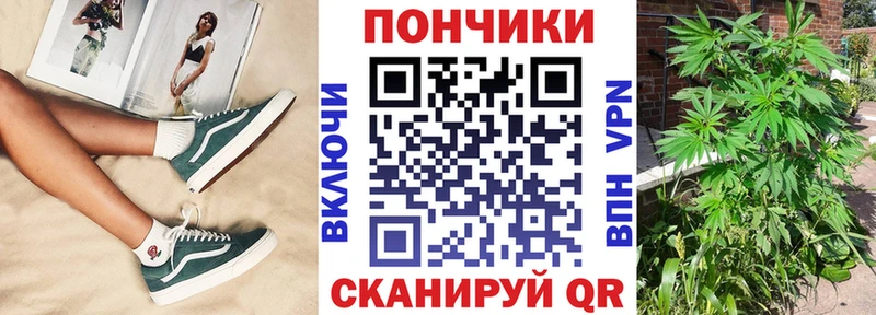 Бошки марихуана сатива  kraken tor  Качканар 